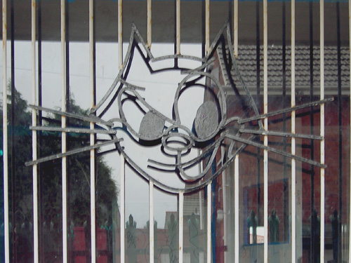 10 cats whisker