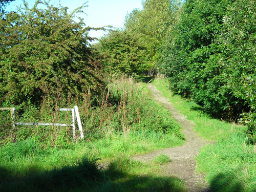 25  green way