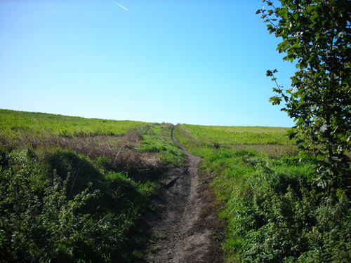 26 path over