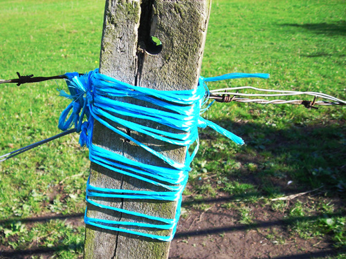 27 blue twine