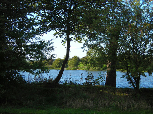 43 lake 
