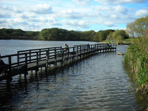 04 fish jetty