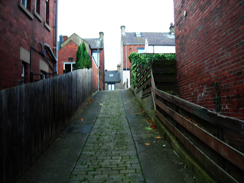 16 alley 