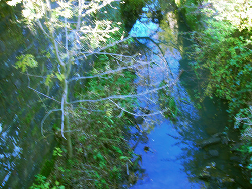 06 canal blur