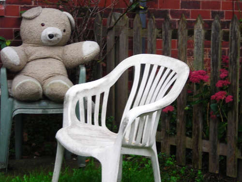 12rain teddy
