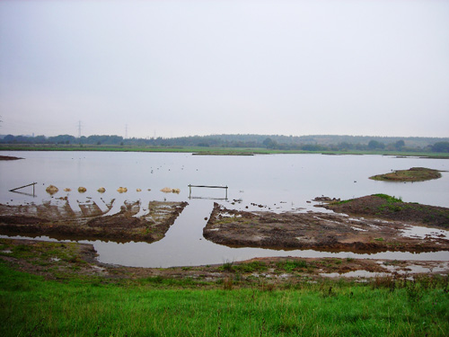 01 lake birds