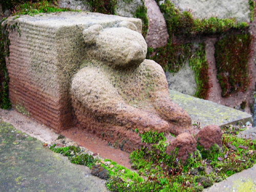 03 teddy rock