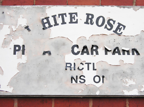 20 hite rose