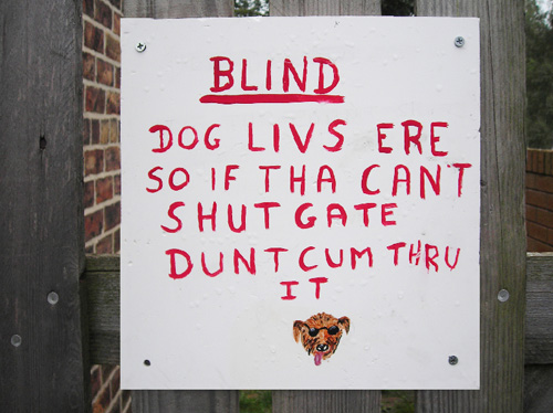 23 blind dog