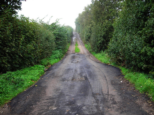 33 lane