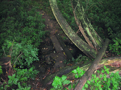 35 stepping stones