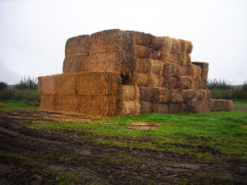 36 haystack